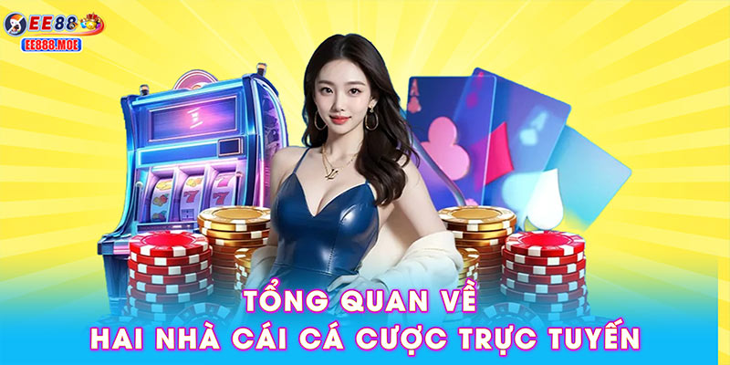 Tổng quan về hai nhà cái cá cược trực tuyến